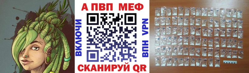A PVP СК Пушкино