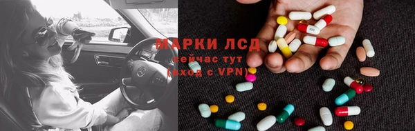 сатива Аркадак