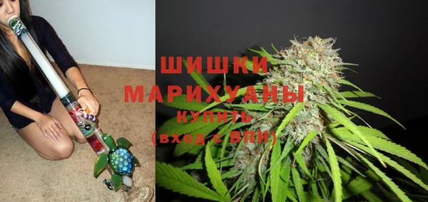 сатива Аркадак